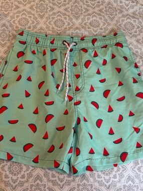 Aqua Watermelon Print Swim Trunks